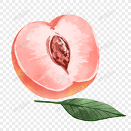 自拍破处类视频APPAPP应用